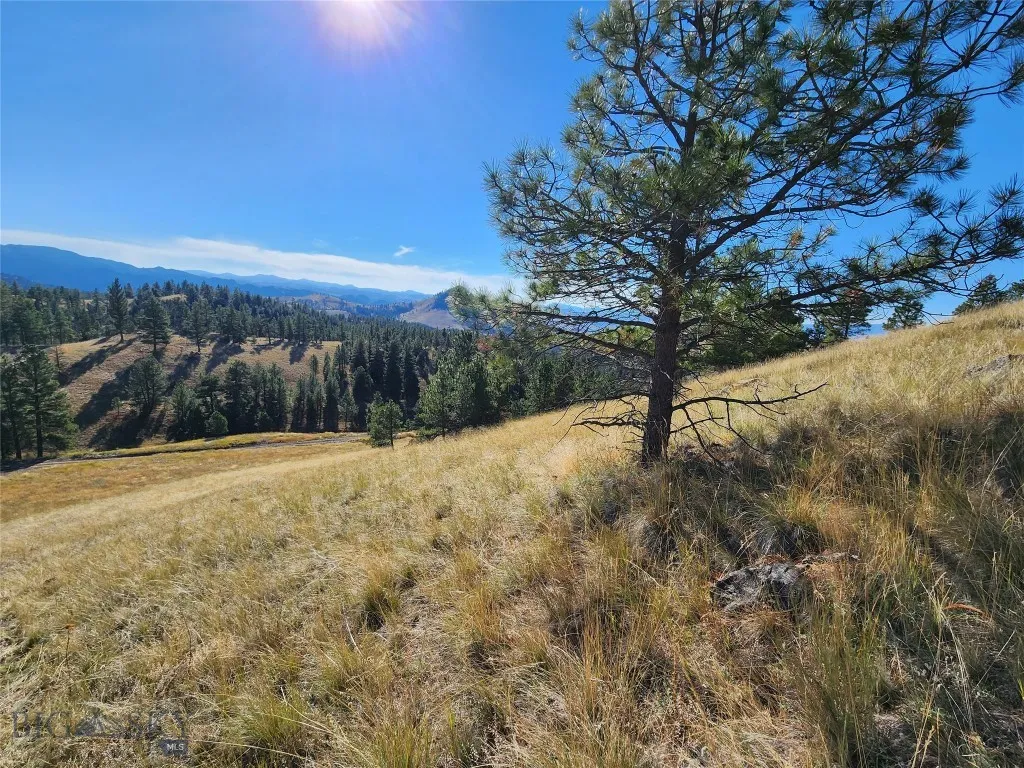 Tract 90 Hideaway Lane, Cascade, Montana 59421, Cascade, Montana 59421, ,Land,For Sale,Tract 90 Hideaway Lane, Cascade, Montana 59421,0,397718