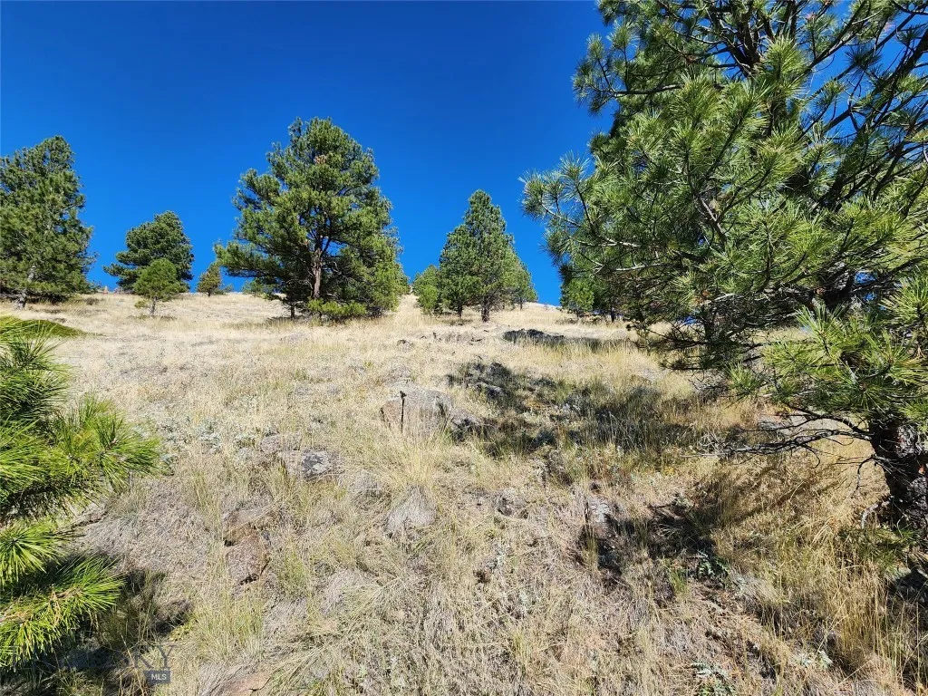 Tract 90 Hideaway Lane, Cascade, Montana 59421, Cascade, Montana 59421, ,Land,For Sale,Tract 90 Hideaway Lane, Cascade, Montana 59421,0,397718