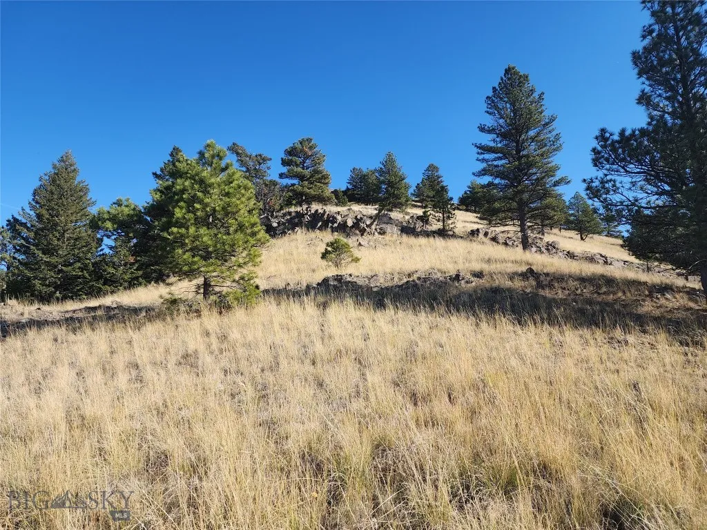 Tract 90 Hideaway Lane, Cascade, Montana 59421, Cascade, Montana 59421, ,Land,For Sale,Tract 90 Hideaway Lane, Cascade, Montana 59421,0,397718