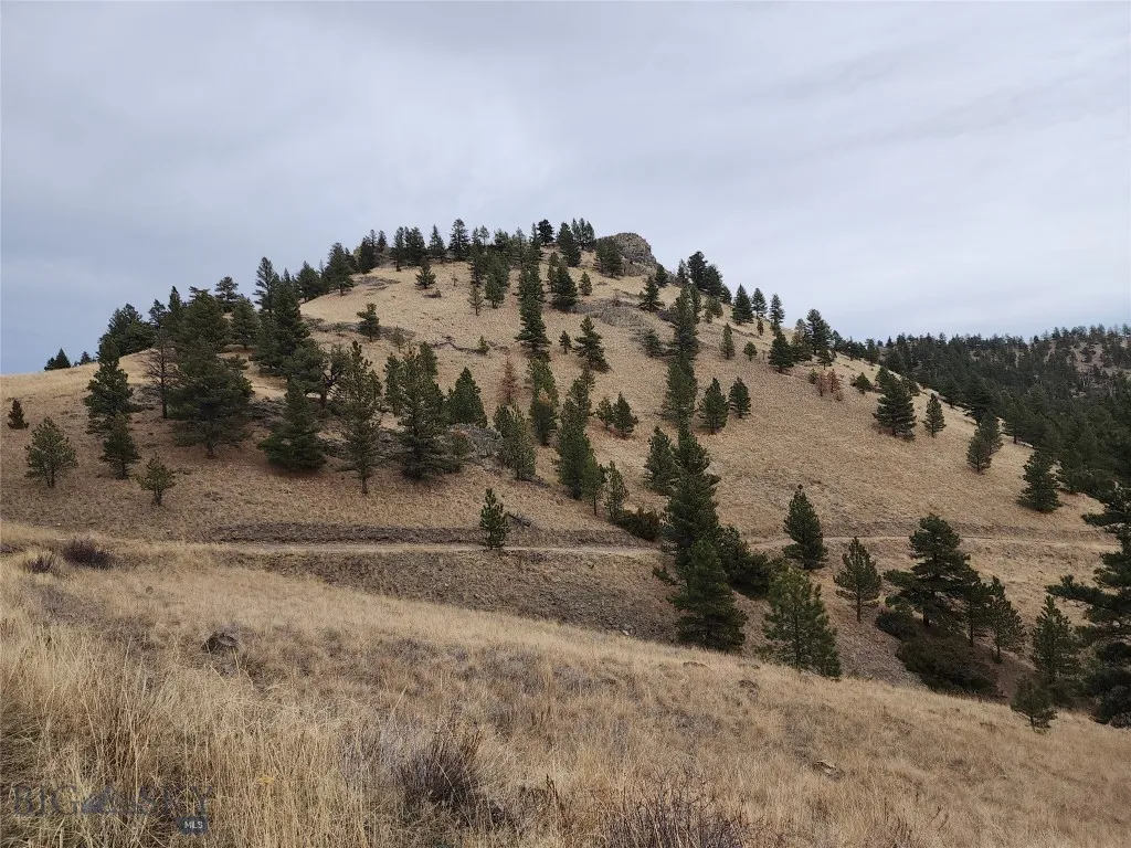 Tract 90 Hideaway Lane, Cascade, Montana 59421, Cascade, Montana 59421, ,Land,For Sale,Tract 90 Hideaway Lane, Cascade, Montana 59421,0,397718