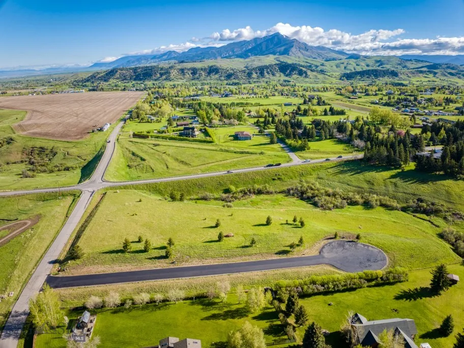 165 Blossom Way, Bozeman, Montana 59715, Bozeman, Montana 59715, ,Land,For Sale,165 Blossom Way, Bozeman, Montana 59715,398104