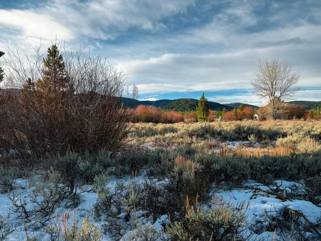 Nhn (2) Highway 1, Anaconda, Montana 59711, Anaconda, Montana 59711, ,Land,For Sale,Nhn (2) Highway 1, Anaconda, Montana 59711,0,398179