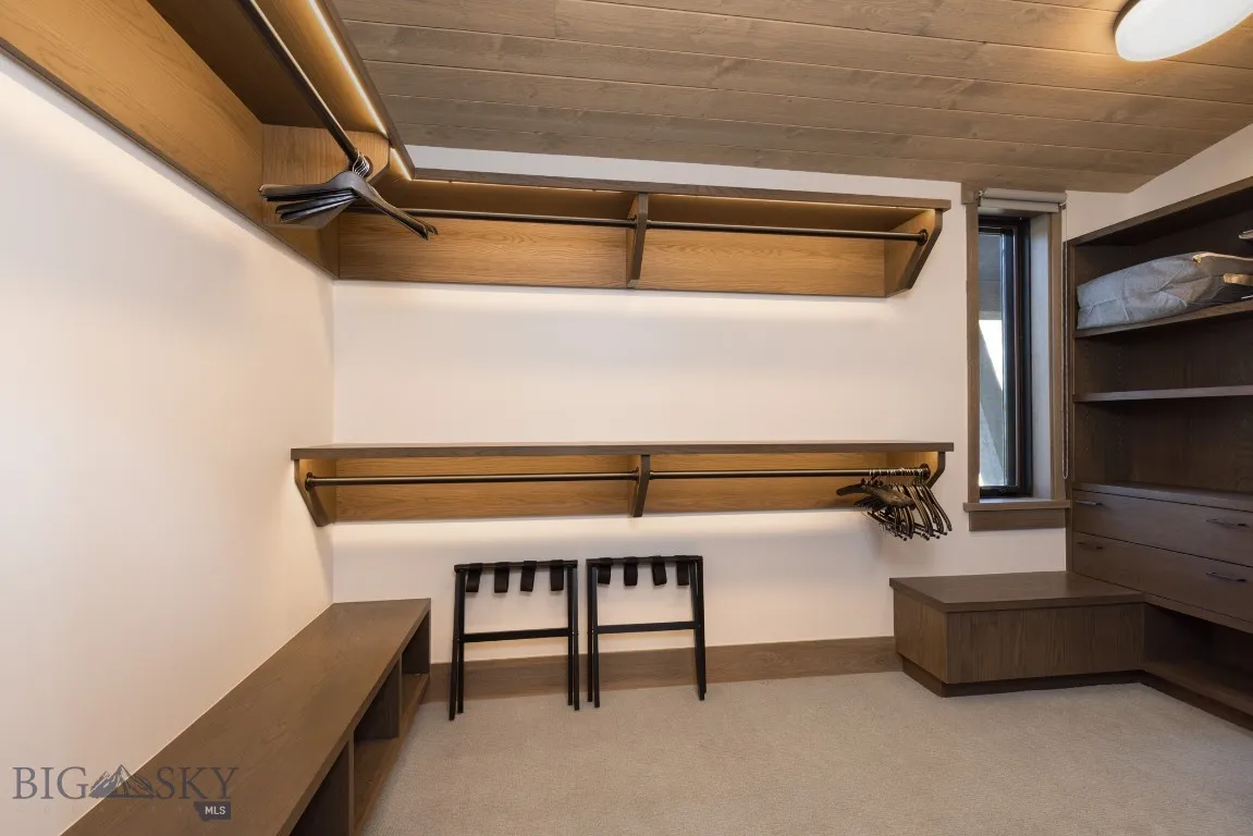 Walk in closet with light carpet