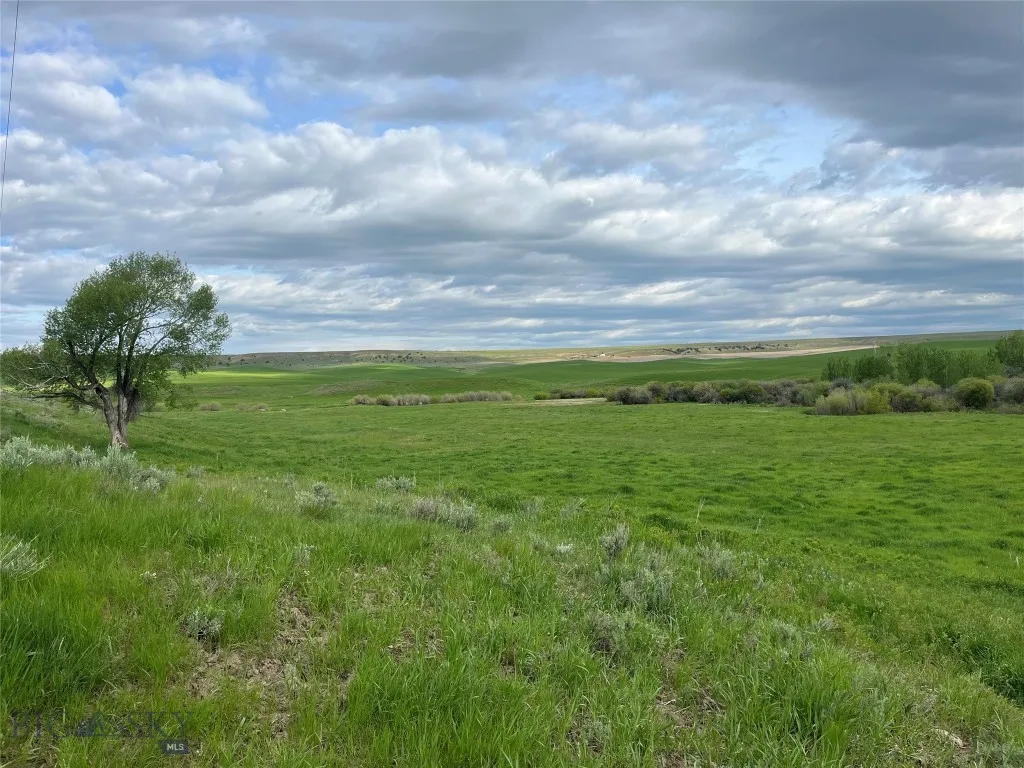 000 Elk Creek Road W, Wilsall, Montana 59086, Wilsall, Montana 59086, ,Farm,For Sale,000 Elk Creek Road W, Wilsall, Montana 59086,398018