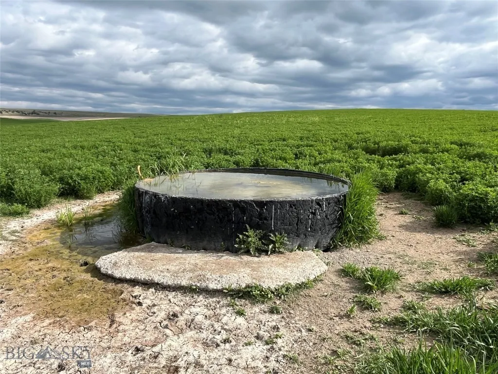 000 Elk Creek Road W, Wilsall, Montana 59086, Wilsall, Montana 59086, ,Farm,For Sale,000 Elk Creek Road W, Wilsall, Montana 59086,398018