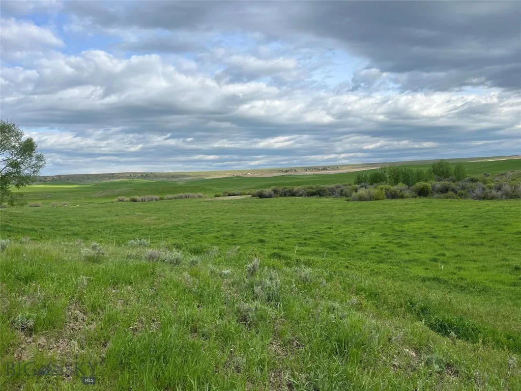 000 Elk Creek Road W, Wilsall, Montana 59086, Wilsall, Montana 59086, ,Farm,For Sale,000 Elk Creek Road W, Wilsall, Montana 59086,398018