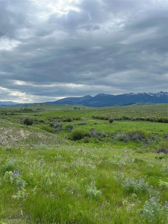 000 Elk Creek Road W, Wilsall, Montana 59086, Wilsall, Montana 59086, ,Farm,For Sale,000 Elk Creek Road W, Wilsall, Montana 59086,398018