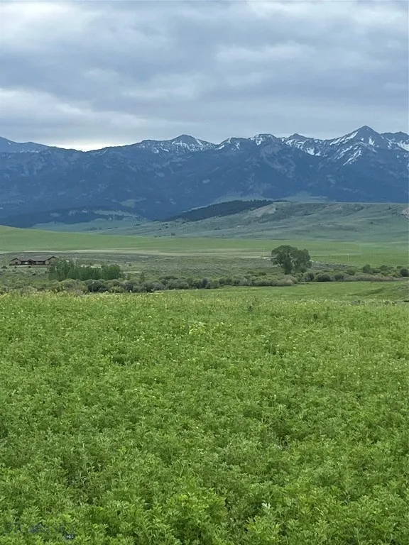 000 Elk Creek Road W, Wilsall, Montana 59086, Wilsall, Montana 59086, ,Farm,For Sale,000 Elk Creek Road W, Wilsall, Montana 59086,398018