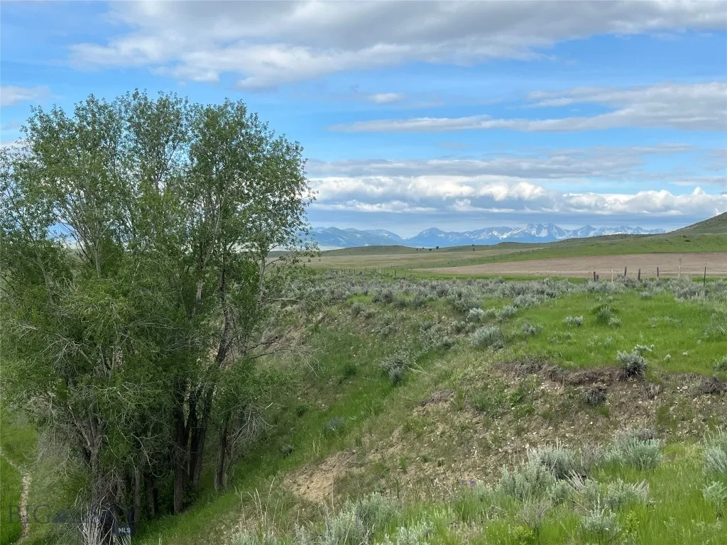 000 Elk Creek Road W, Wilsall, Montana 59086, Wilsall, Montana 59086, ,Farm,For Sale,000 Elk Creek Road W, Wilsall, Montana 59086,398018