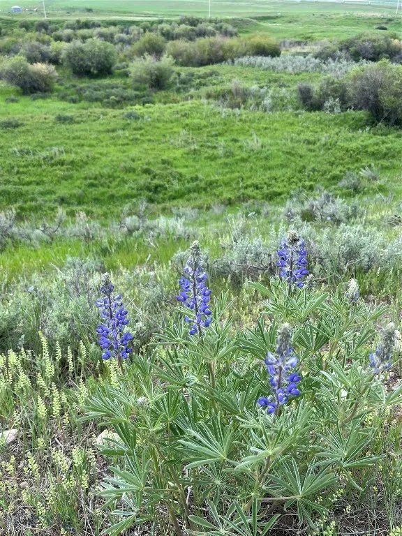 000 Elk Creek Road W, Wilsall, Montana 59086, Wilsall, Montana 59086, ,Farm,For Sale,000 Elk Creek Road W, Wilsall, Montana 59086,398018