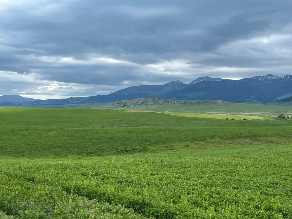 000 Elk Creek Road W, Wilsall, Montana 59086, Wilsall, Montana 59086, ,Farm,For Sale,000 Elk Creek Road W, Wilsall, Montana 59086,398018