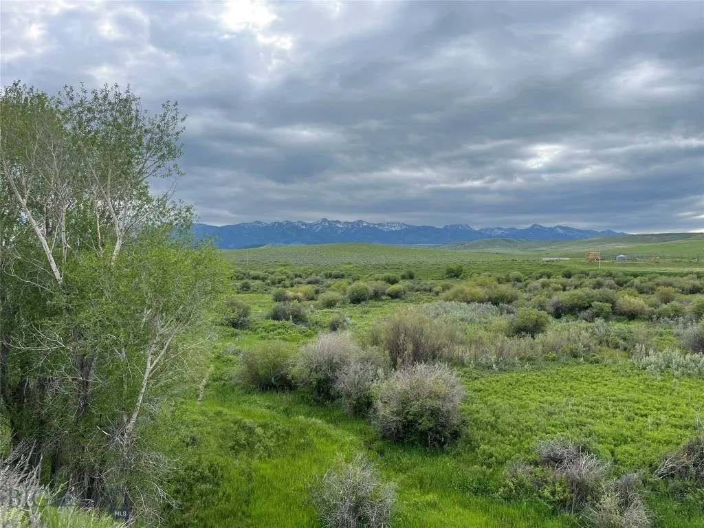 000 Elk Creek Road W, Wilsall, Montana 59086, Wilsall, Montana 59086, ,Farm,For Sale,000 Elk Creek Road W, Wilsall, Montana 59086,398018