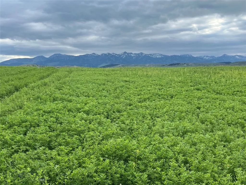 000 Elk Creek Road W, Wilsall, Montana 59086, Wilsall, Montana 59086, ,Farm,For Sale,000 Elk Creek Road W, Wilsall, Montana 59086,398018