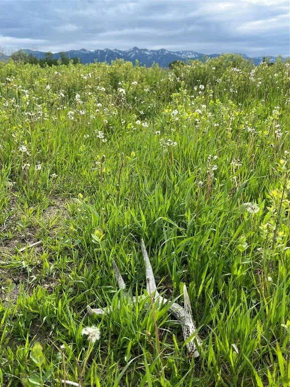 000 Elk Creek Road W, Wilsall, Montana 59086, Wilsall, Montana 59086, ,Farm,For Sale,000 Elk Creek Road W, Wilsall, Montana 59086,398018