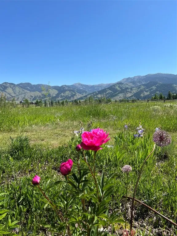 618 Autumn Ridge Road, Bozeman, Montana 59715, Bozeman, Montana 59715, 5 Bedrooms Bedrooms, ,1 BathroomBathrooms,Residential,For Sale,618 Autumn Ridge Road, Bozeman, Montana 59715,398070