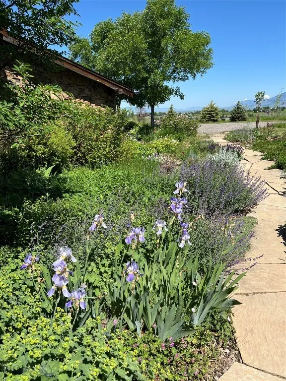 618 Autumn Ridge Road, Bozeman, Montana 59715, Bozeman, Montana 59715, 5 Bedrooms Bedrooms, ,1 BathroomBathrooms,Residential,For Sale,618 Autumn Ridge Road, Bozeman, Montana 59715,398070