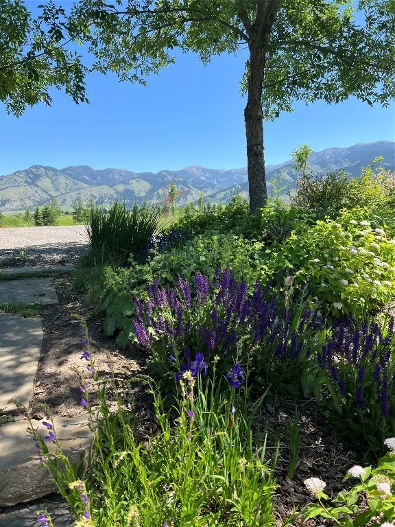 618 Autumn Ridge Road, Bozeman, Montana 59715, Bozeman, Montana 59715, 5 Bedrooms Bedrooms, ,1 BathroomBathrooms,Residential,For Sale,618 Autumn Ridge Road, Bozeman, Montana 59715,398070