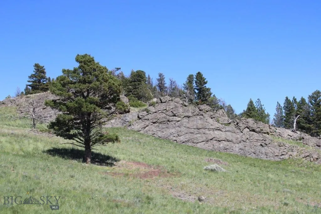 View of local wilderness