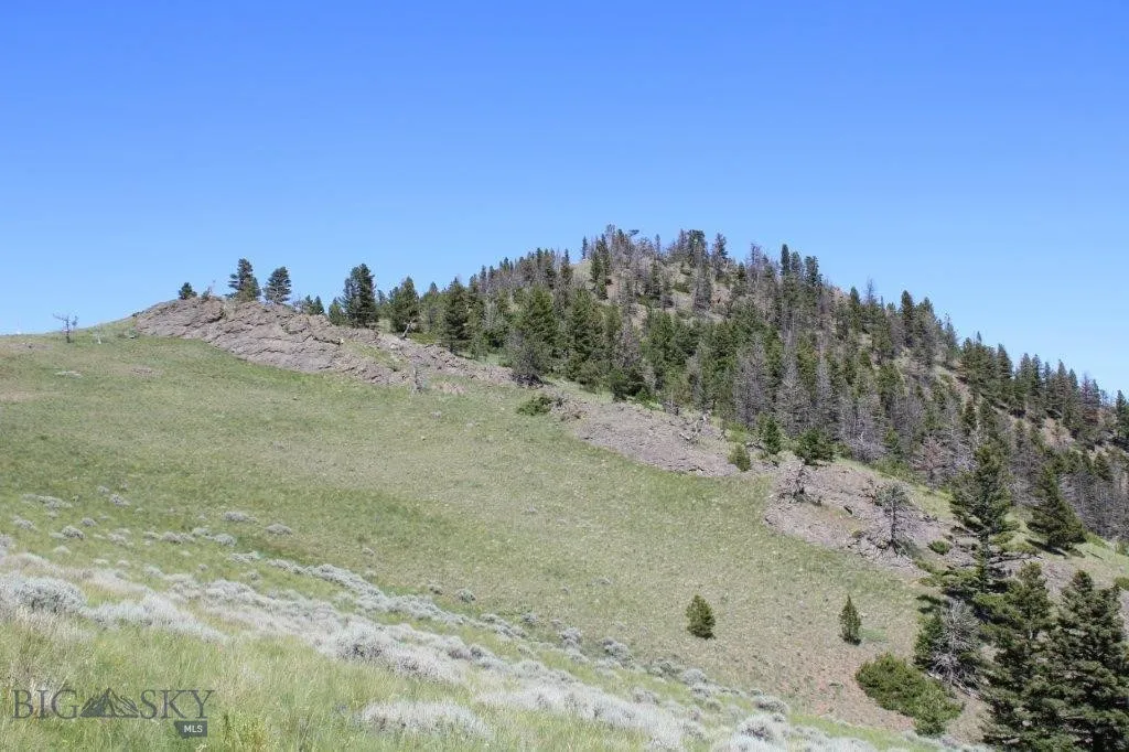 Cascade, Montana 59421, ,Land,For Sale,0,398393