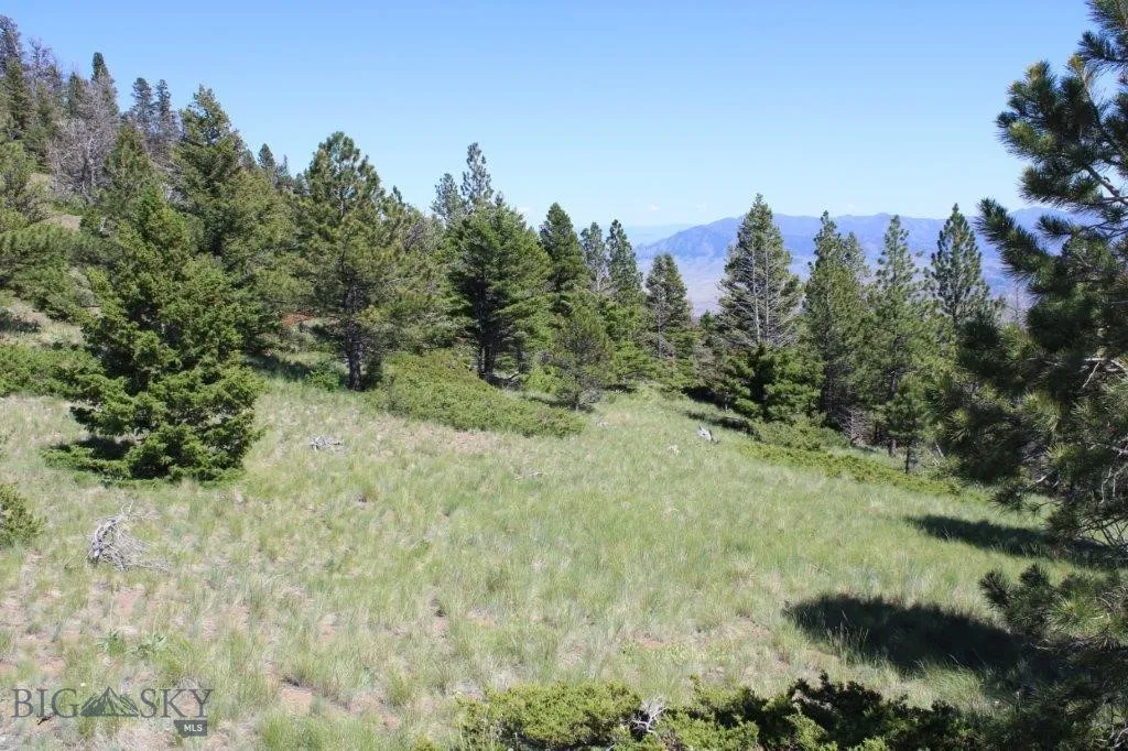 View of local wilderness featuring a mountain view