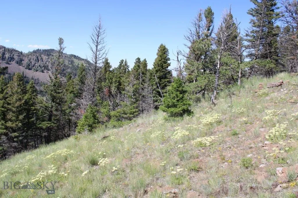 View of local wilderness featuring a mountain view