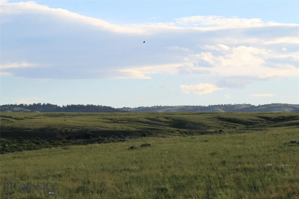 7916 Nitro Road, Other, Wyoming 82646, Other, Wyoming 82646, ,Land,For Sale,7916 Nitro Road, Other, Wyoming 82646,0,398369