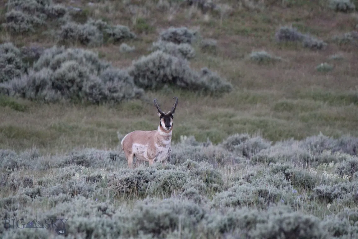 7916 Nitro Road, Other, Wyoming 82646, Other, Wyoming 82646, ,Land,For Sale,7916 Nitro Road, Other, Wyoming 82646,0,398369