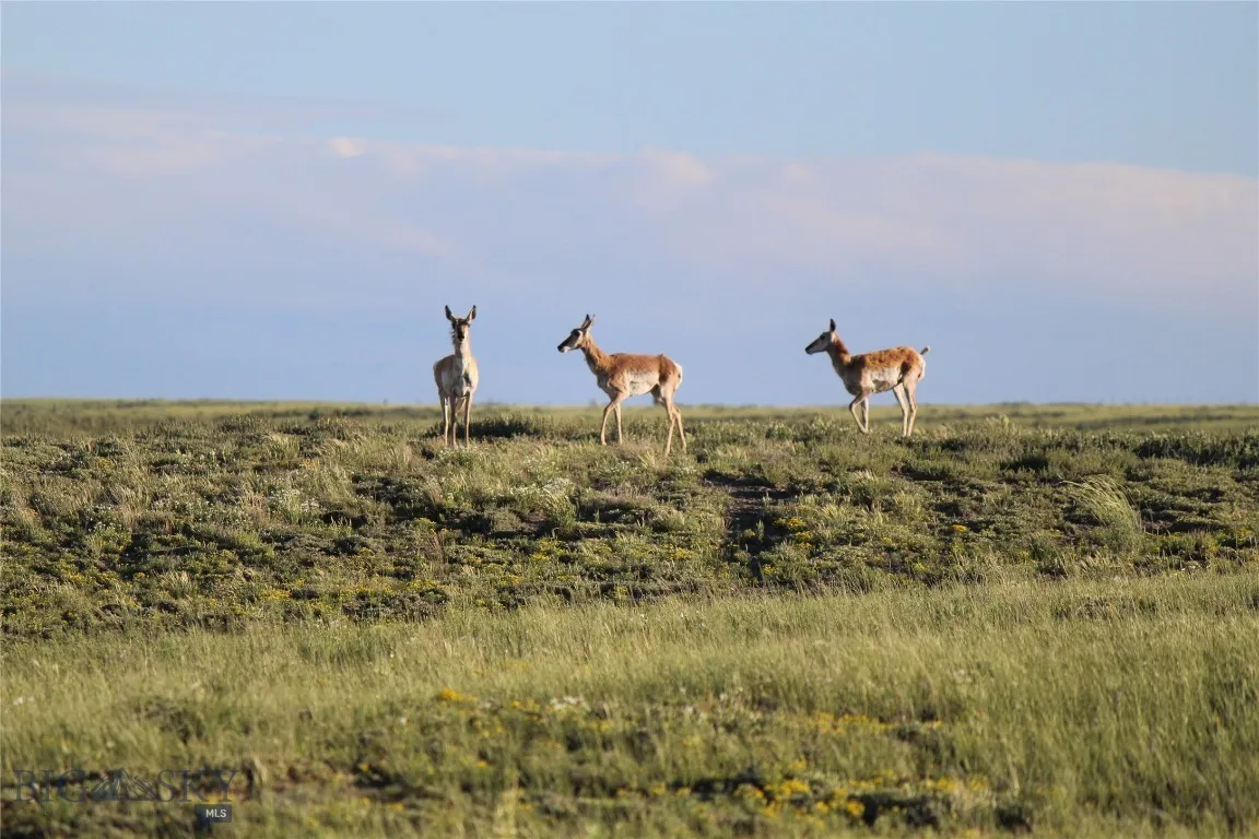 7916 Nitro Road, Other, Wyoming 82646, Other, Wyoming 82646, ,Land,For Sale,7916 Nitro Road, Other, Wyoming 82646,0,398369