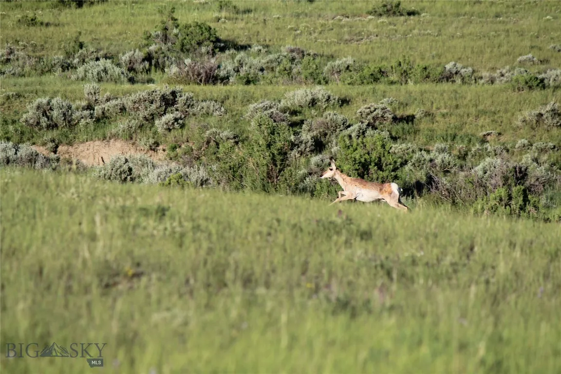 7916 Nitro Road, Other, Wyoming 82646, Other, Wyoming 82646, ,Land,For Sale,7916 Nitro Road, Other, Wyoming 82646,0,398369