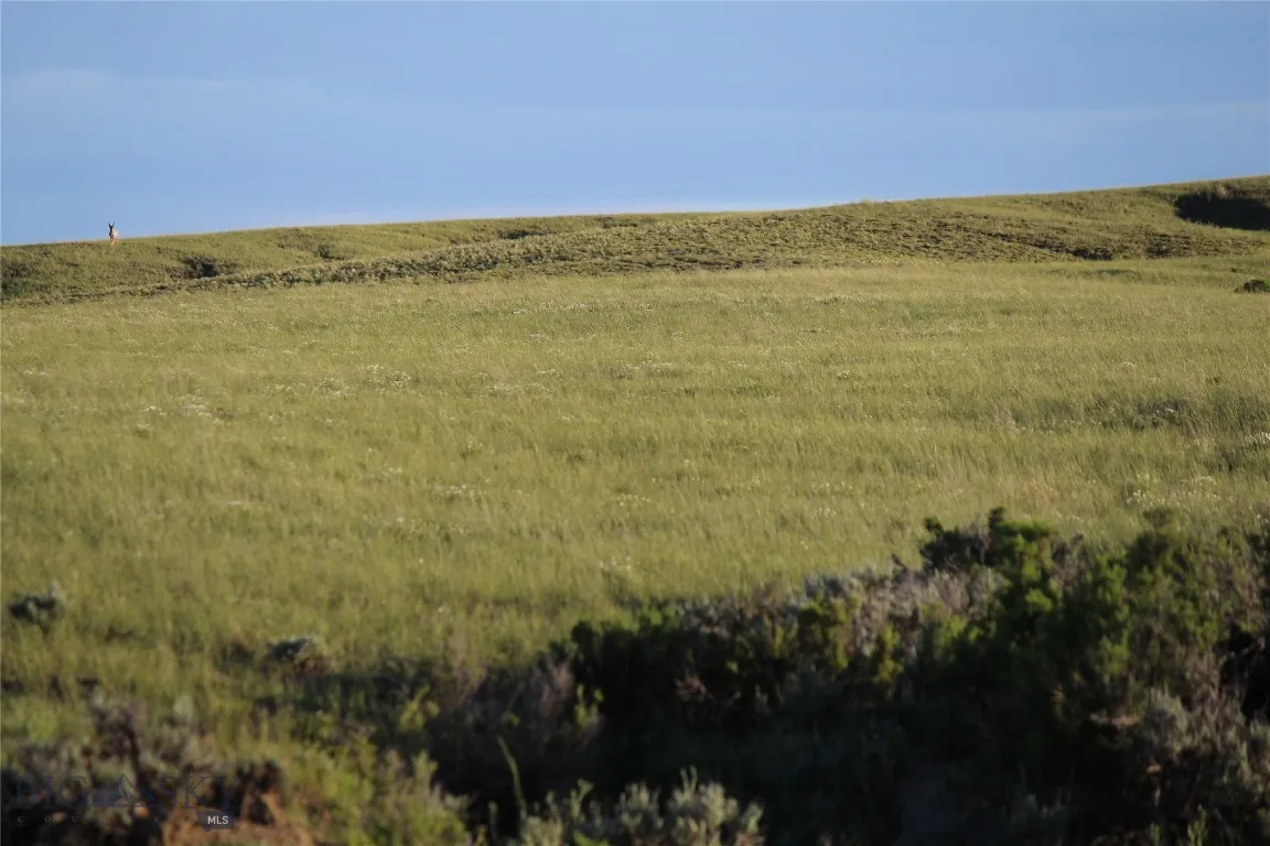 7916 Nitro Road, Other, Wyoming 82646, Other, Wyoming 82646, ,Land,For Sale,7916 Nitro Road, Other, Wyoming 82646,0,398369