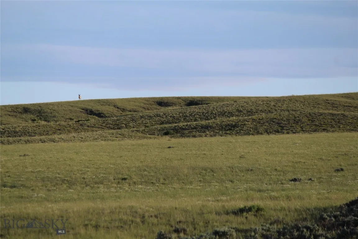 7916 Nitro Road, Other, Wyoming 82646, Other, Wyoming 82646, ,Land,For Sale,7916 Nitro Road, Other, Wyoming 82646,0,398369