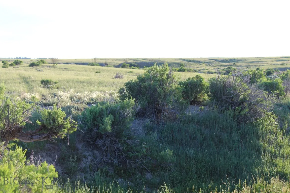 7916 Nitro Road, Other, Wyoming 82646, Other, Wyoming 82646, ,Land,For Sale,7916 Nitro Road, Other, Wyoming 82646,0,398369