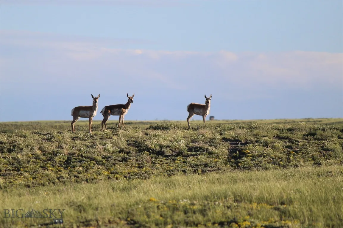 7916 Nitro Road, Other, Wyoming 82646, Other, Wyoming 82646, ,Land,For Sale,7916 Nitro Road, Other, Wyoming 82646,0,398369