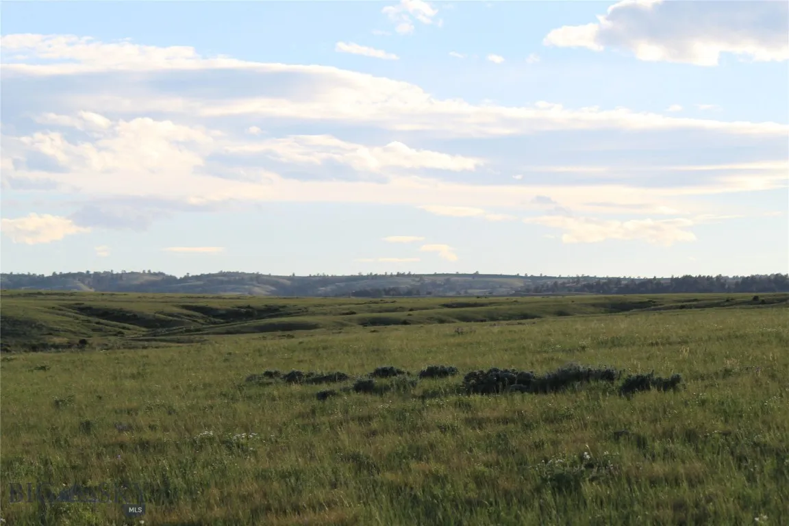 7916 Nitro Road, Other, Wyoming 82646, Other, Wyoming 82646, ,Land,For Sale,7916 Nitro Road, Other, Wyoming 82646,0,398369