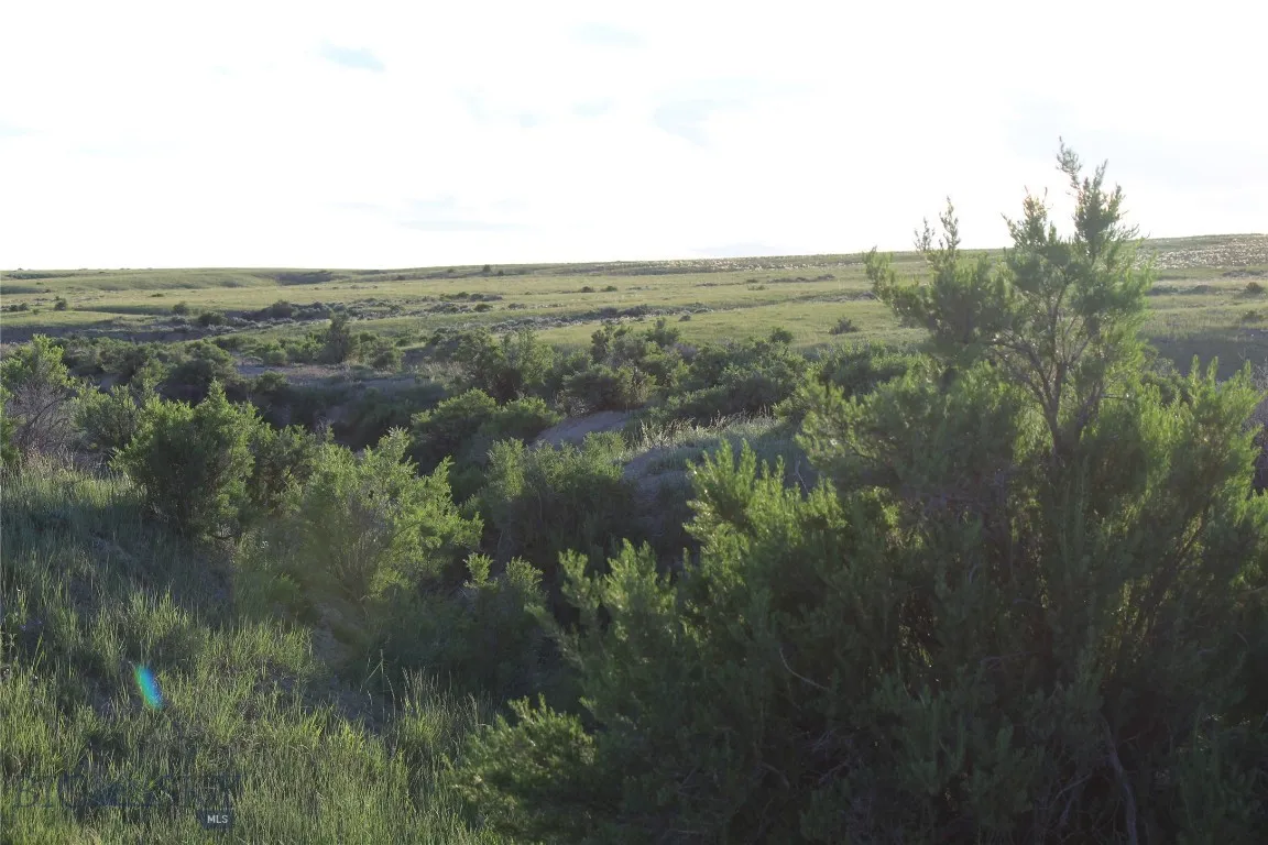 7916 Nitro Road, Other, Wyoming 82646, Other, Wyoming 82646, ,Land,For Sale,7916 Nitro Road, Other, Wyoming 82646,0,398369