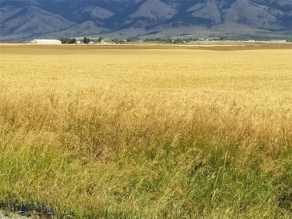 Tbd Penwell Bridge Road, Belgrade, Montana 59714, Belgrade, Montana 59714, ,Land,For Sale,Tbd Penwell Bridge Road, Belgrade, Montana 59714,398531