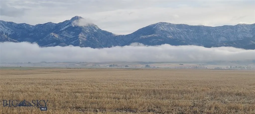 Tbd Penwell Bridge Road, Belgrade, Montana 59714, Belgrade, Montana 59714, ,Land,For Sale,Tbd Penwell Bridge Road, Belgrade, Montana 59714,398531