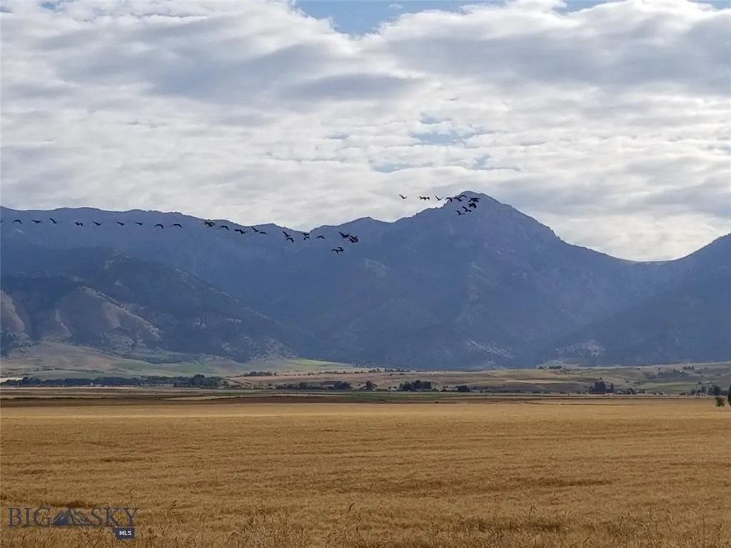 Tbd Penwell Bridge Road, Belgrade, Montana 59714, Belgrade, Montana 59714, ,Land,For Sale,Tbd Penwell Bridge Road, Belgrade, Montana 59714,398531