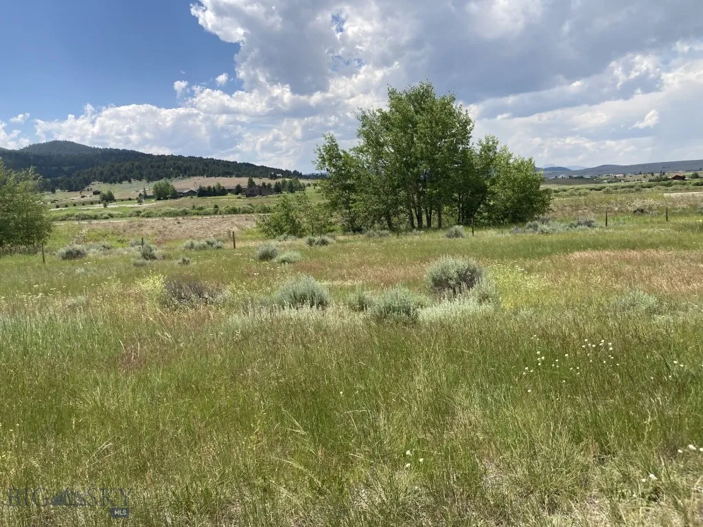 Tbd Stonecrop Road Lot 3, Butte, Montana 59701, Butte, Montana 59701, ,Land,For Sale,Tbd Stonecrop Road Lot 3, Butte, Montana 59701,0,398600