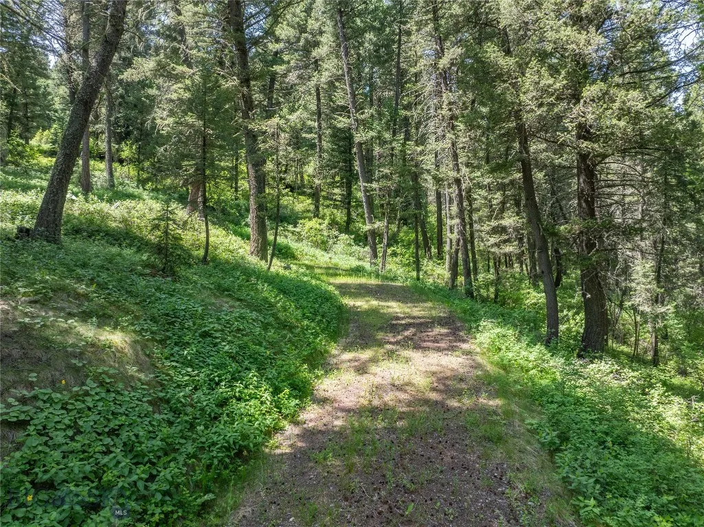 Developed Driveway to Build Site