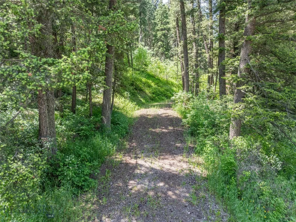 Developed Driveway to Build Site