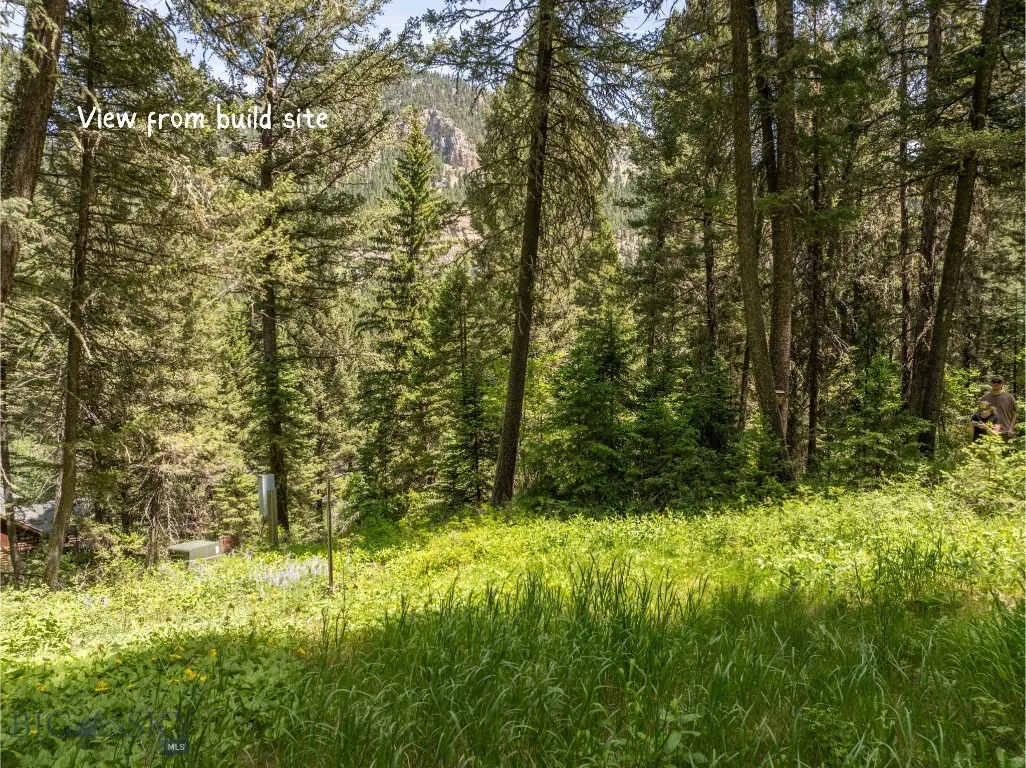 View from build site