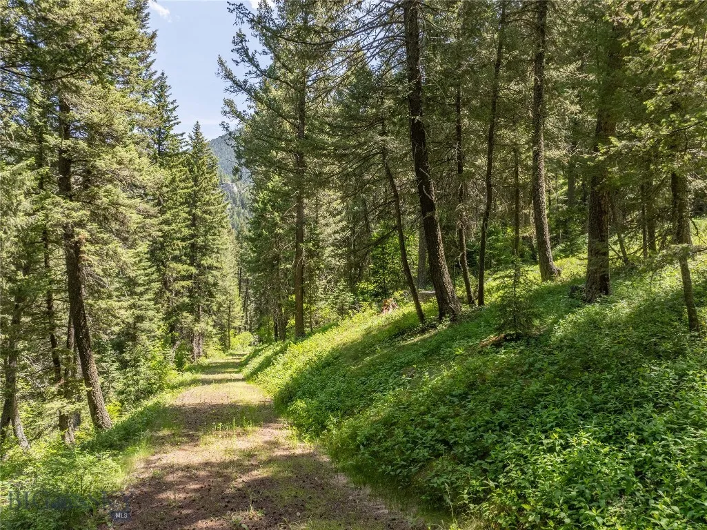 Developed Driveway to Build Site
