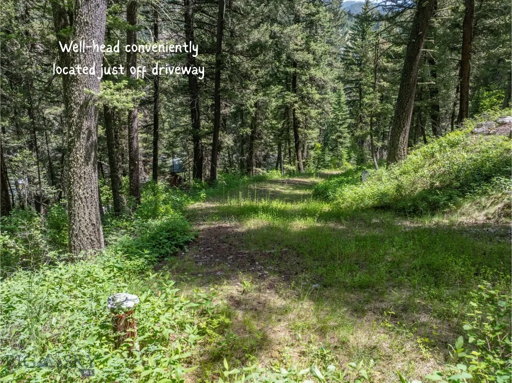 Well-head conveniently located just off driveway