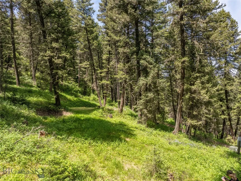 Photo of build site & driveway