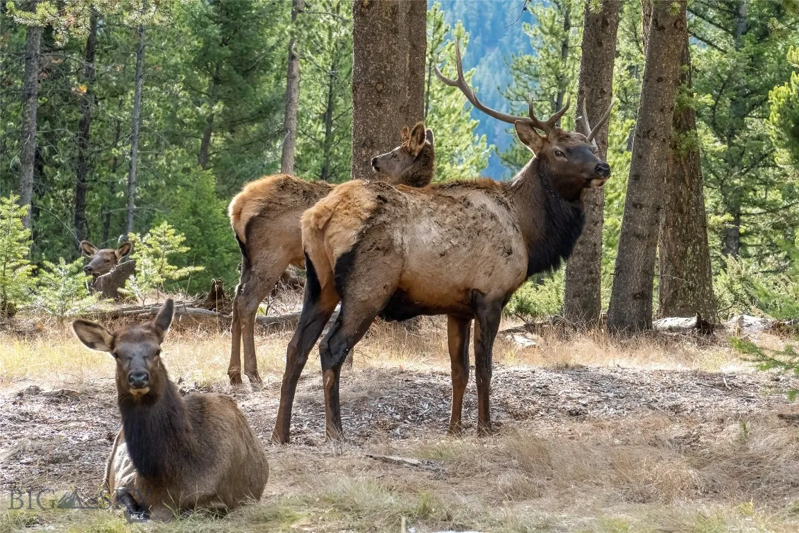 Tbd Crown Butte, Lot 88, Big Sky, Montana 59716, ,Land,For Sale,Tbd Crown Butte, Lot 88,0,399701