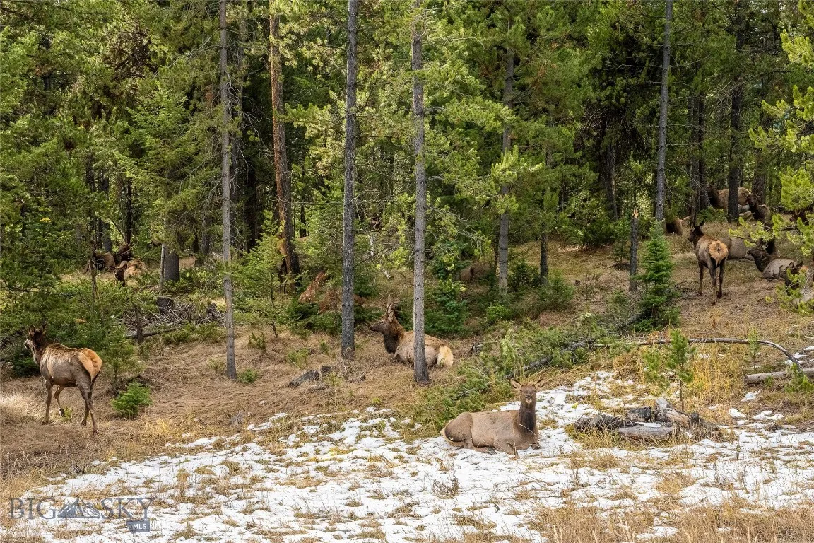 Tbd Crown Butte, Lot 88, Big Sky, Montana 59716, ,Land,For Sale,Tbd Crown Butte, Lot 88,0,399701