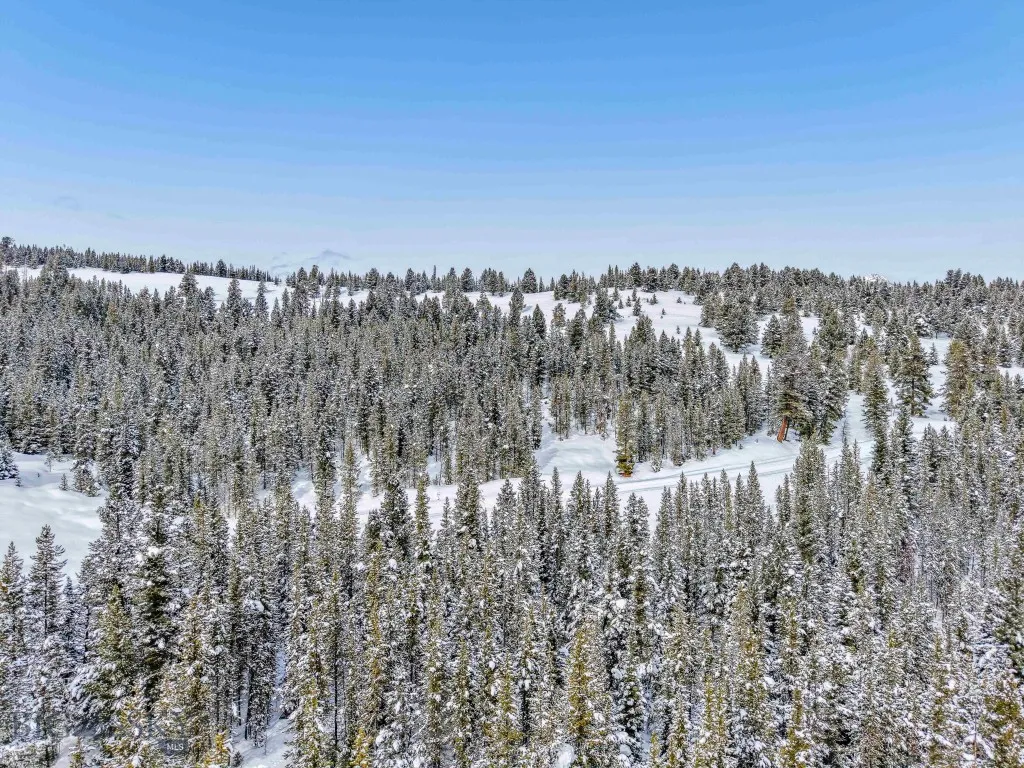 Tbd Crown Butte, Lot 88, Big Sky, Montana 59716, ,Land,For Sale,Tbd Crown Butte, Lot 88,0,399701