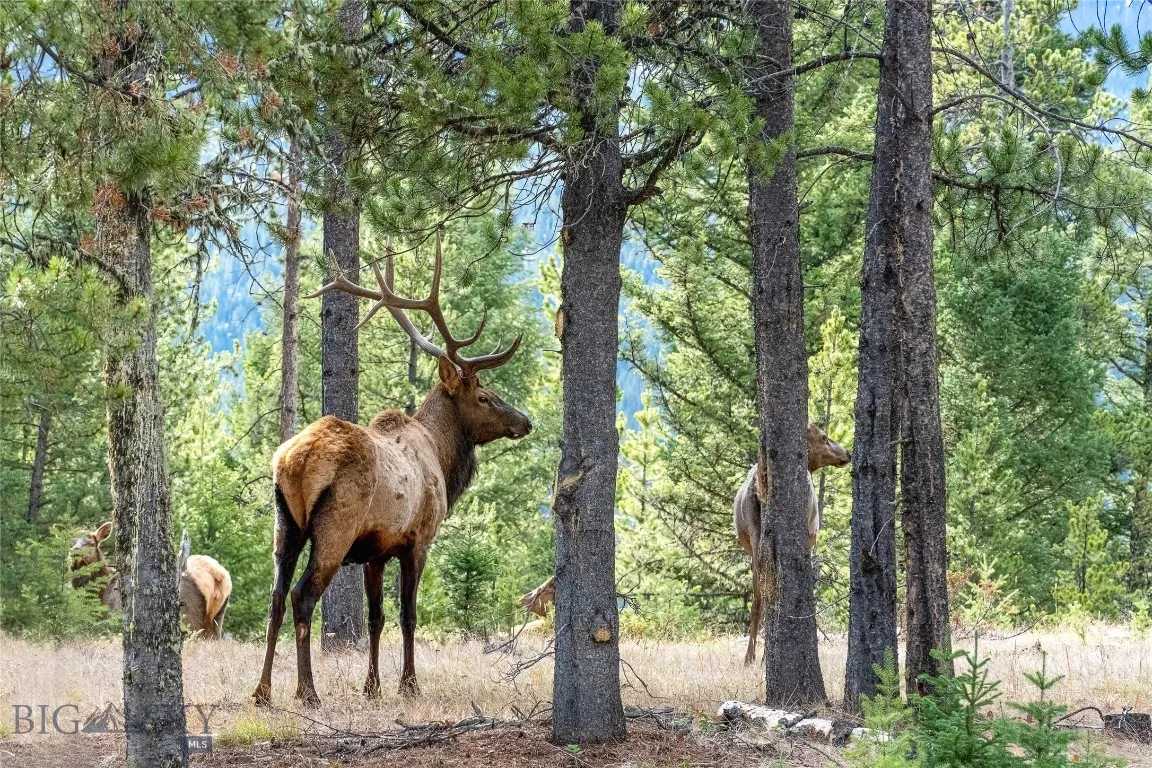 Tbd Crown Butte, Lot 88, Big Sky, Montana 59716, ,Land,For Sale,Tbd Crown Butte, Lot 88,0,399701