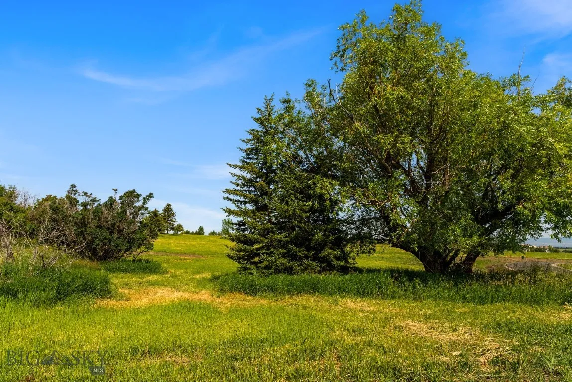 Tbd Lot 17 Boreal Way, Bozeman, Montana 59715, Bozeman, Montana 59715, ,Land,For Sale,Tbd Lot 17 Boreal Way, Bozeman, Montana 59715,0,399741